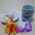 DSCN2833
